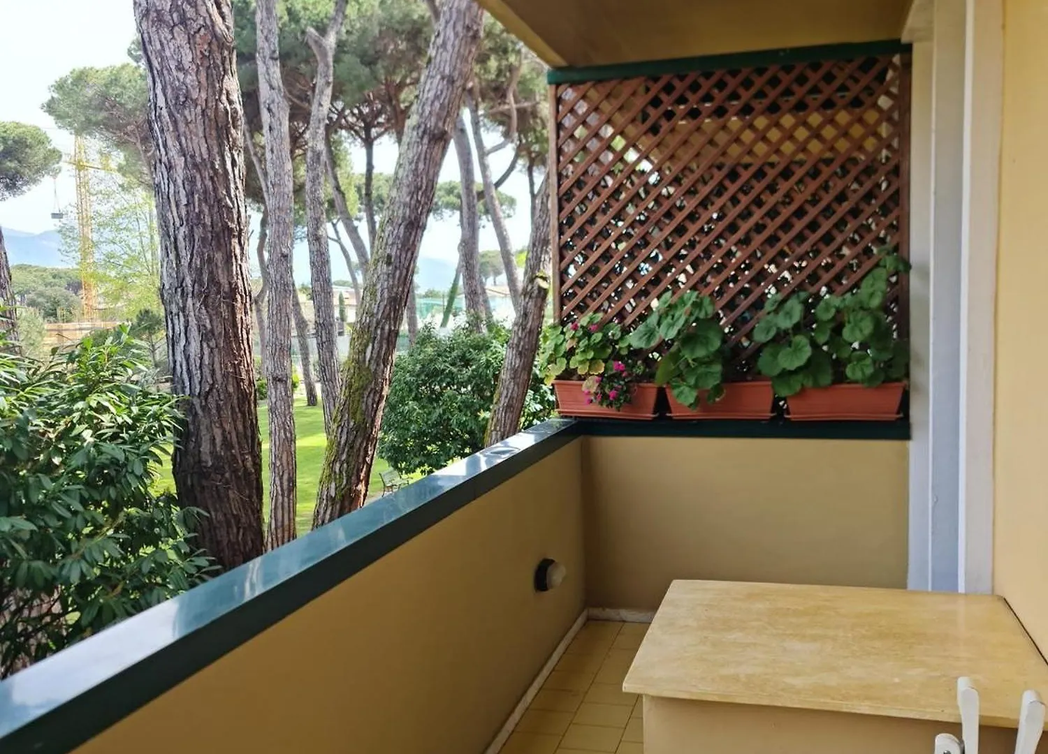 Apartmán Allure Cinquale